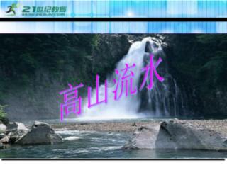黄球大冒险无敌版